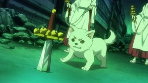 Gintama Epizóda 5