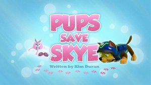 Labková patrola Labky zachraňujú Skye