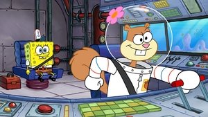 SpongeBob v šortkách Epizóda 37