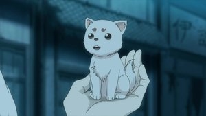 Gintama Epizóda 6