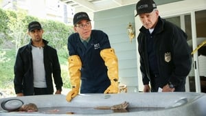 NCIS: Námorný vyšetrovací úrad Epizóda 2