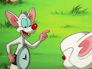 Pinky and the Brain Epizóda 1