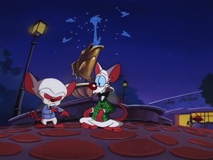 Pinky and the Brain Epizóda 40