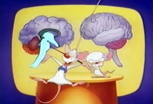 Pinky and the Brain Epizóda 5