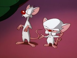 Pinky and the Brain Epizóda 34