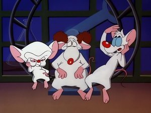 Pinky and the Brain Epizóda 3