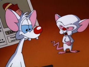 Pinky and the Brain Epizóda 13