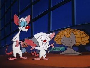 Pinky and the Brain Epizóda 47
