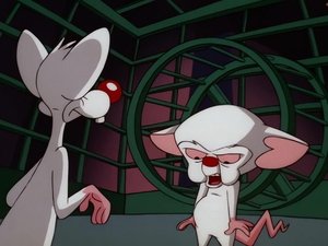 Pinky and the Brain Epizóda 8