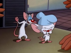 Pinky and the Brain Epizóda 51