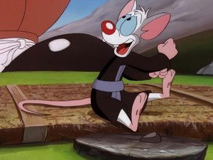 Pinky and the Brain Epizóda 28