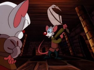 Pinky and the Brain Epizóda 38