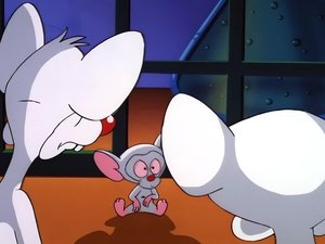 Pinky and the Brain Epizóda 15
