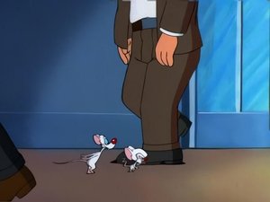Pinky and the Brain Epizóda 16