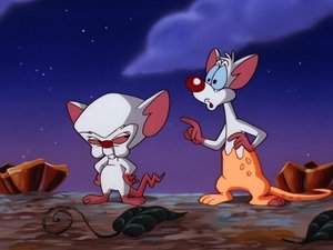 Pinky and the Brain Epizóda 25
