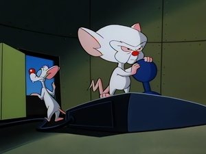 Pinky and the Brain Epizóda 16