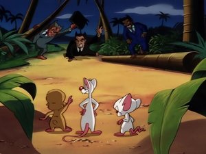 Pinky and the Brain Epizóda 3