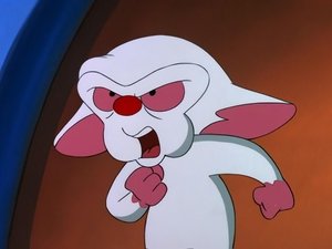 Pinky and the Brain Epizóda 8