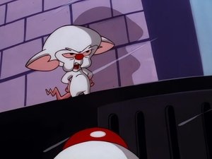 Pinky and the Brain Epizóda 49
