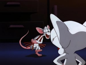 Pinky and the Brain Epizóda 26