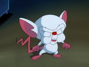 Pinky and the Brain Epizóda 6