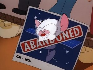 Pinky and the Brain Epizóda 29