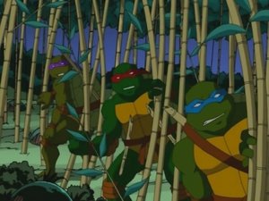 Teenage Mutant Ninja Turtles Epizóda 7