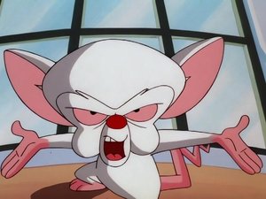 Pinky and the Brain Epizóda 42