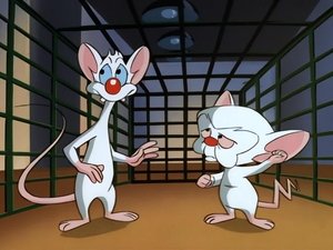 Pinky and the Brain Epizóda 13