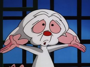 Pinky and the Brain Epizóda 14