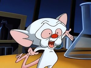 Pinky and the Brain Epizóda 1