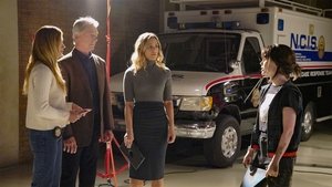 NCIS: Námorný vyšetrovací úrad Epizóda 7