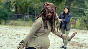 Walking Dead Epizóda 14