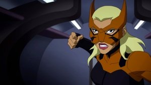 Young Justice Epizóda 8