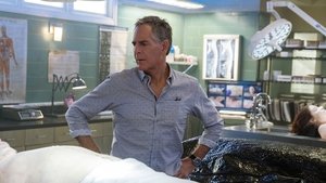 NCIS: New Orleans Epizóda 13