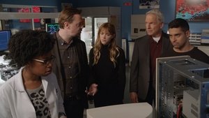 NCIS: Námorný vyšetrovací úrad Epizóda 14