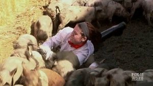 Pekelná kuchyňa Epizóda 5