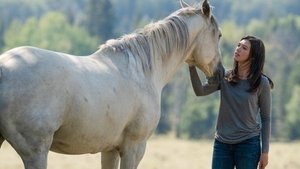 Heartland Epizóda 10