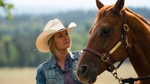 Heartland Epizóda 9
