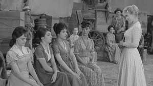 Wagon Train Epizóda 11