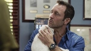 Hawaii 5.0 Epizóda 21