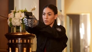 Agenti S.H.I.E.L.D. Window of Opportunity