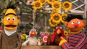 Sesame Street Epizóda 30