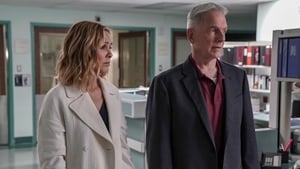 NCIS: Námorný vyšetrovací úrad Epizóda 24
