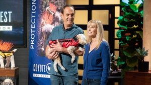 Shark Tank Epizóda 23