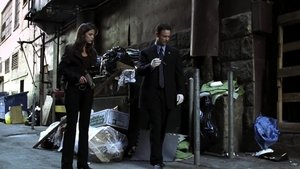 C.S.I.: Kriminálka New York Epizóda 2