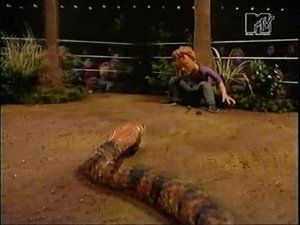 Celebrity Deathmatch Epizóda 11