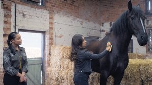 Free Rein Epizóda 3