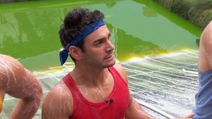 Big Brother Epizóda 22