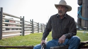 Heartland Epizóda 3